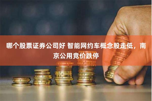 哪个股票证券公司好 智能网约车概念股走低，南京公用竞价跌停