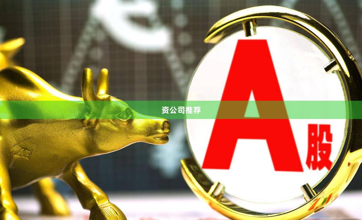 资公司推荐